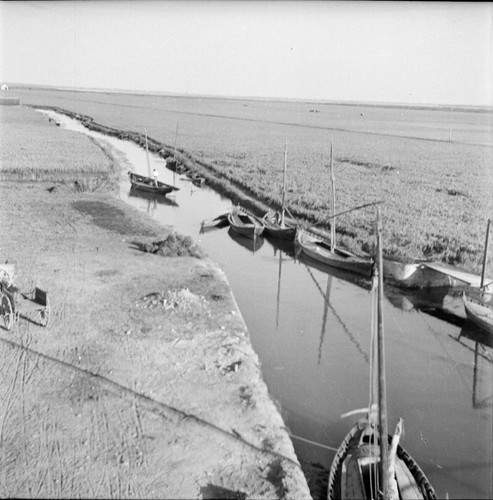 Espagne 1950 barques - c.,
