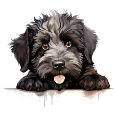 6 x autocollants de voiture