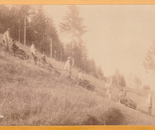 RARE SCHLITTE à TOURISTE LUGE