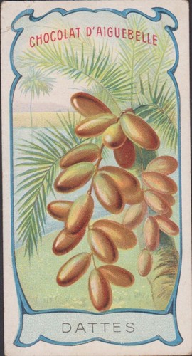 Chromo ancien chocolat - chromo,