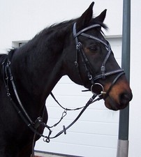 Rittertrense Chevaliers Bride