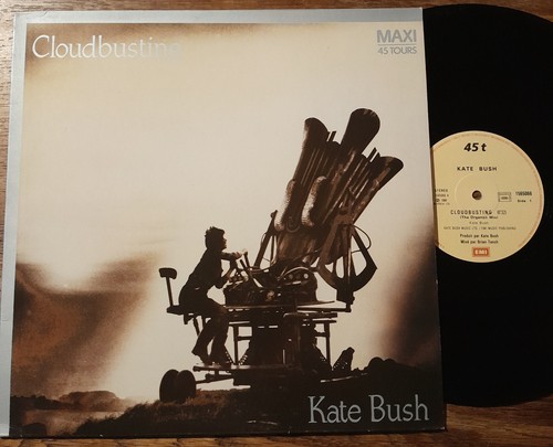 Maxi 45t kate bush the - kate,