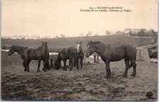 28 NOGENT LE ROTROU - domaine