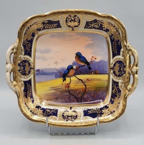 Plat creux porcelaine - creux,