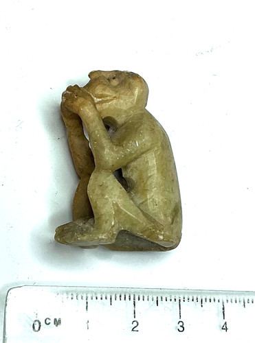 Des singes de la - un,