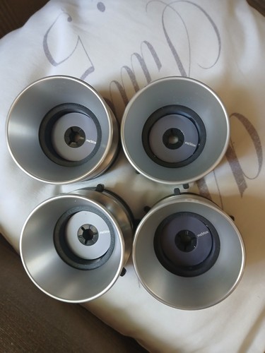 Noyau nab tulipe - tulipe, gris