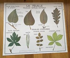 ancienne carte Affiche