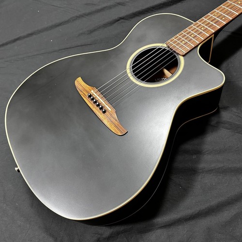 Guitare électrique acoustique