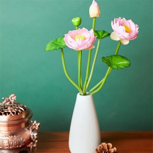 Petit lotus eau nénuphar