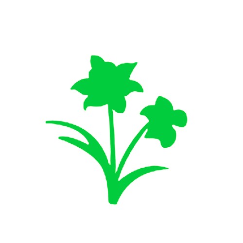 Perforatrice fleurs jonquilles - fleurs,