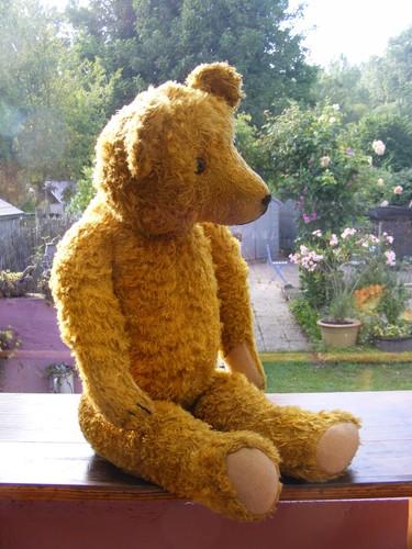 Pacha ours ancien tout - ancien,
