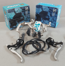 Vintage Old School LIZARD