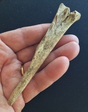 Très beau lissoir en os