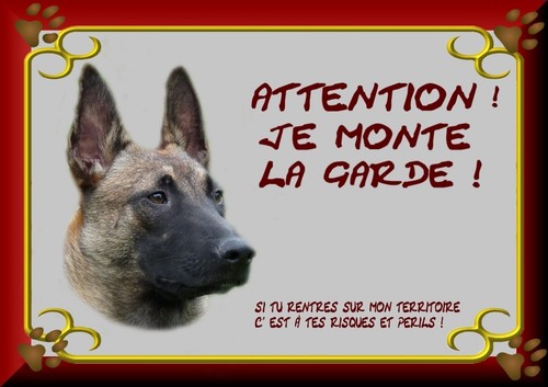 Plaque garde berger - plaque, de