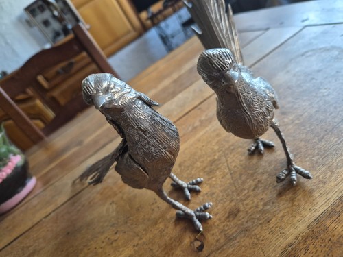 Couple faisans argente - couple, de