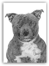 STAFFORDSHIRE BULL TERRIER /STAFFIE CLOSE UP CARD - From Original Drawing 