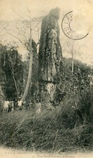 GABON Termitière dans Brousse