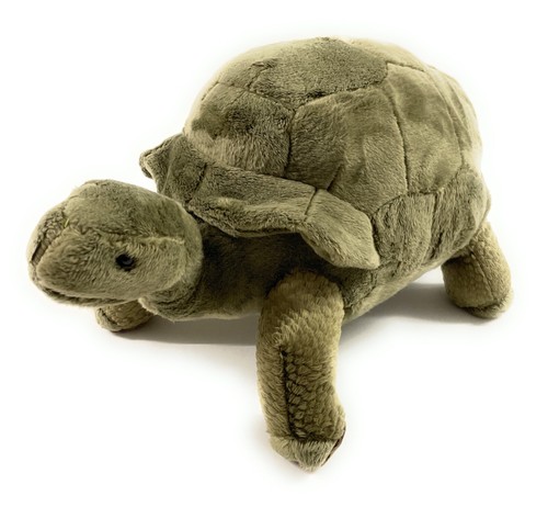 Tortue terre 41cm - terre,