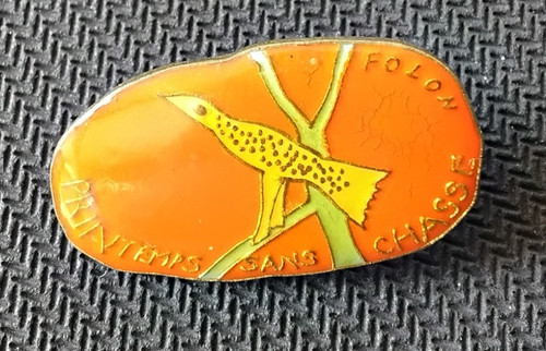 Pin oiseau printemps sans - printemps,