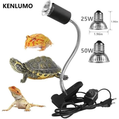 Lampe tortue terrestre - lampe,