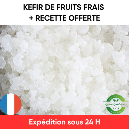 Kéfir eau kit démarrage - kéfir,