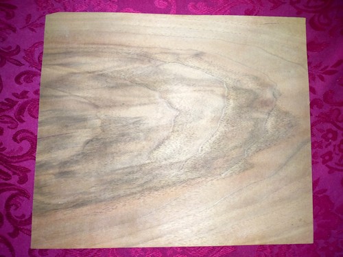 Noyer feuille placage de - 1,