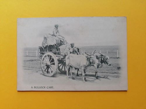 Cpa bullock cart attelage - cpa,