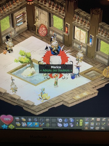 Compte dofus 200 - dofus,