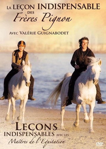 Dvd leçon indispensable de - leçon,