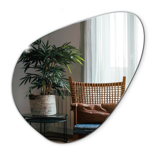 Miroir forme rein décoration - rein,