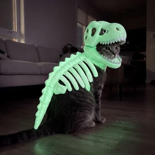 Déguisement dinosaure - déguisement,