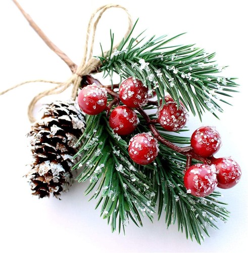 Lot branche de sapin - 10,