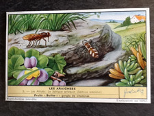 CHROMO LIEBIG SERIE LES