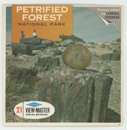 Parc national petrified forest - national,
