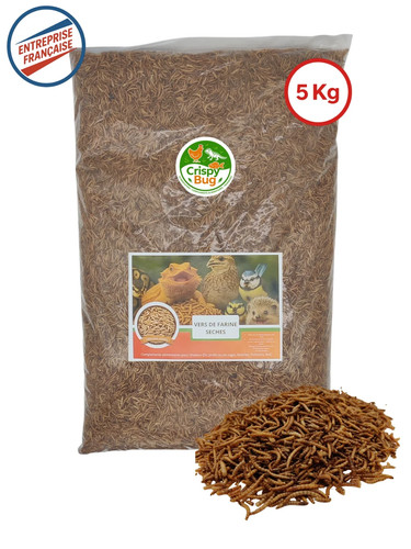 Vers farine séchés kg - 5,