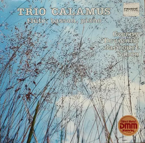 Flute basson piano trio - flute,, piano,