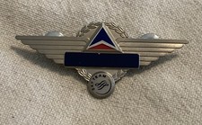 Vintage Delta Sky Team Wings Pin Badge  Vintage Aviation
