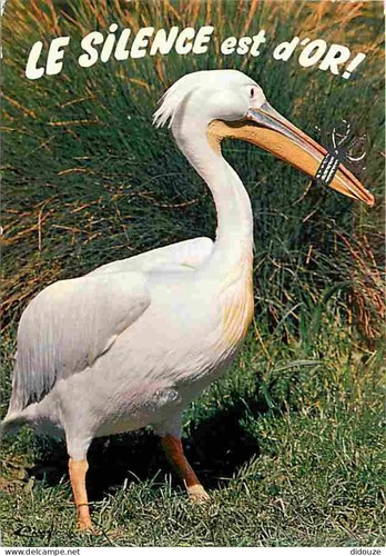 Carte postale animaux - carte,