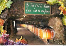 Carte Postale - Vignes - Caves