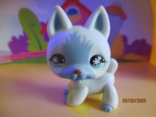 Petshop chien berger - petshop,