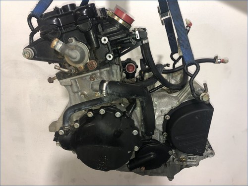 Moteur triumph 955 - triumph,