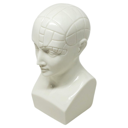 Vtg boehm etrafon phrenology - vtg,