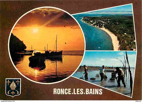 Carte postale ronce les - ronce,