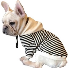 Vetement chien type Bouledogue