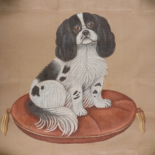 Cavalier king charles - cavalier,