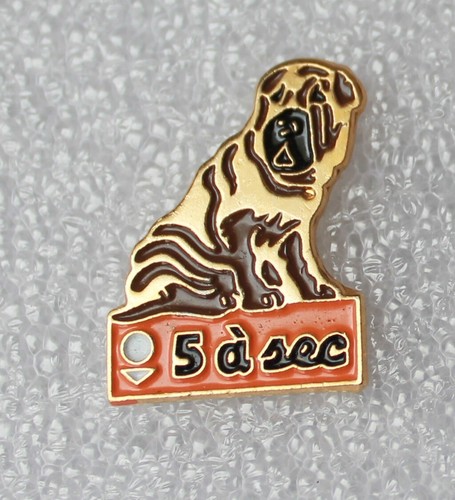 Pins chien shar pei - pei, shar-pei