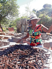 5 gousses de Vanille Bourbon