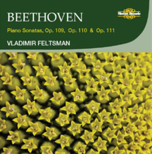 Ludwig van beet - beet,