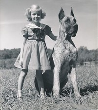 DOGUE GERMAN c. 1950 - Large Format Young Girl Dog - CH 64