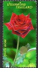 Thailand 2010 Roses Rose